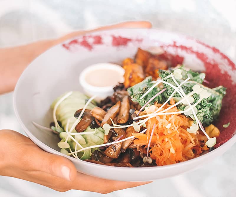 Person Holding Bowl of food