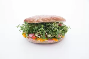 Sandwiches