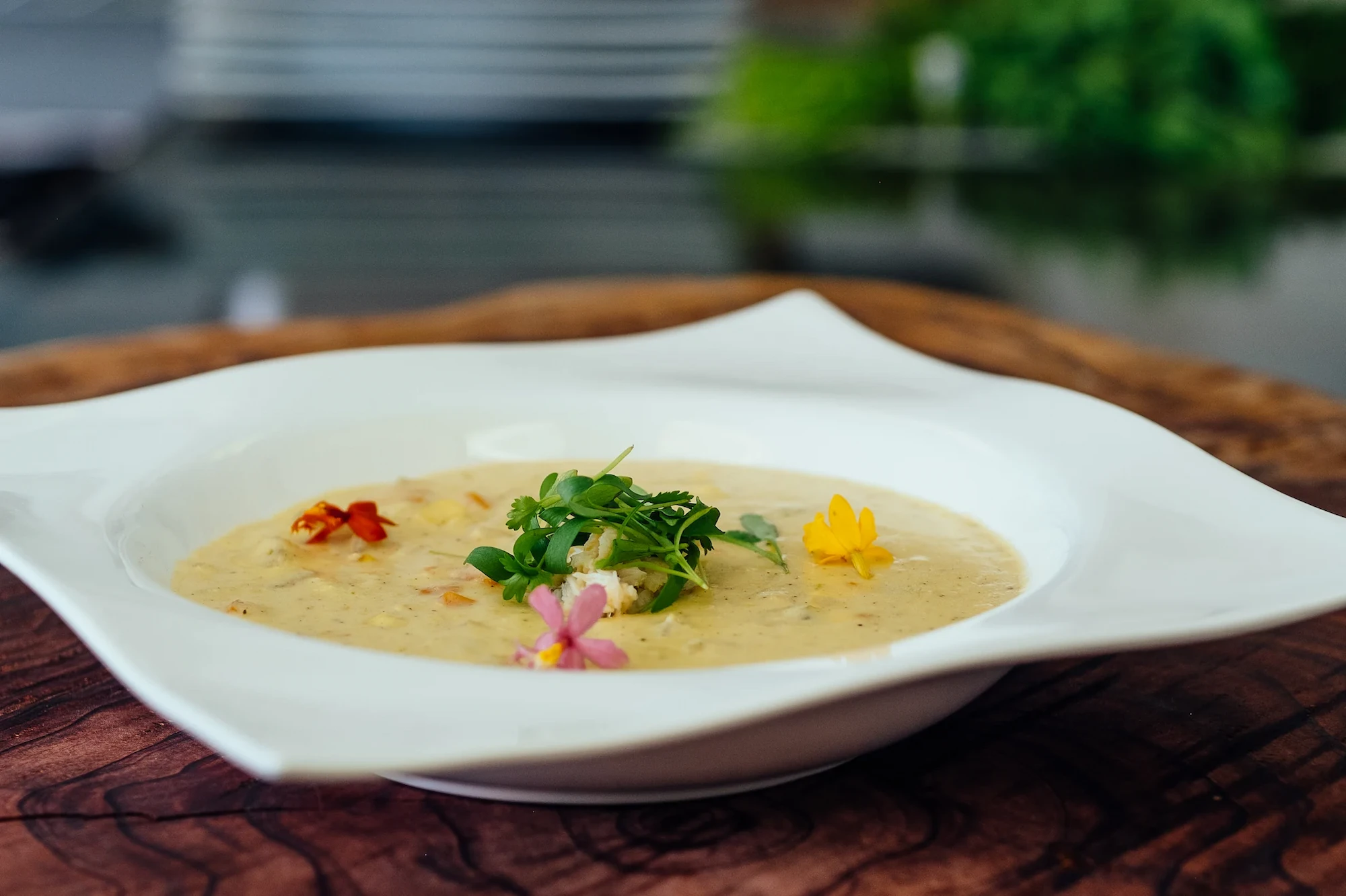 Soup Catering NYC By Us Soup Catering NYC By Us